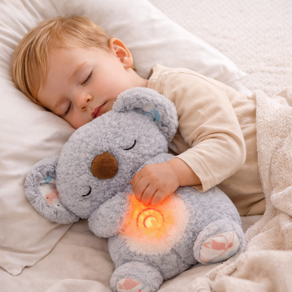 DRIMY ™ - DOLCE KOALA